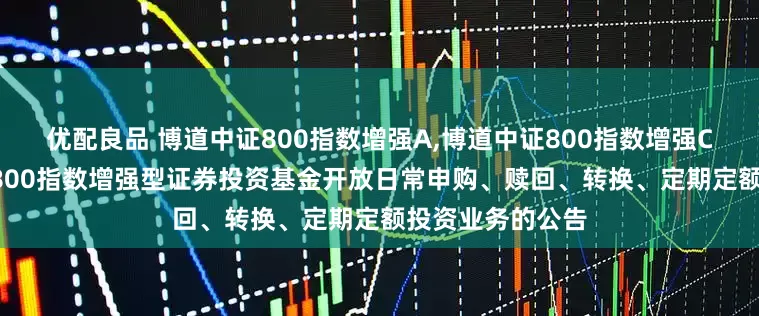 优配良品 博道中证800指数增强A,博道中证800指数增强C: 关于博道中证800指数增强型证券投资基金开放日常申购、赎回、转换、定期定额投资业务的公告